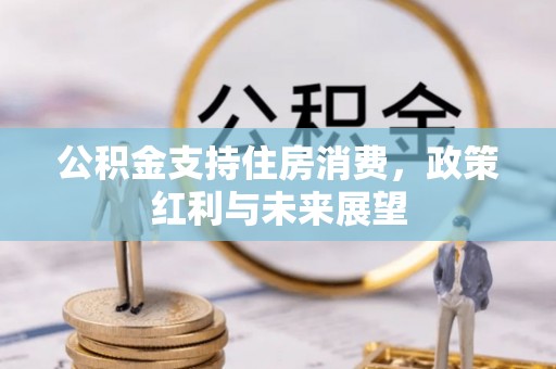 高邮公积金支持住房消费，政策红利与未来展望