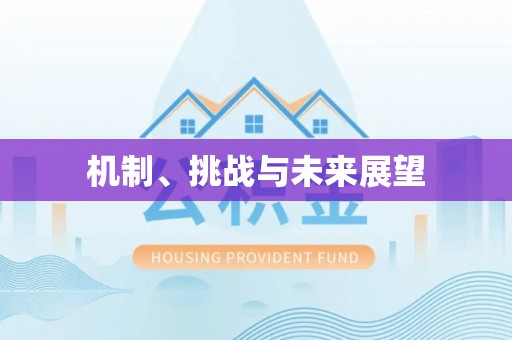 高邮机制、挑战与未来展望