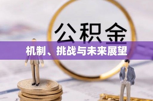 高邮机制、挑战与未来展望
